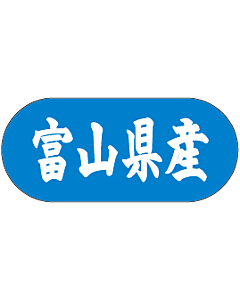 富山県産トラック    GR