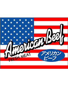 アメリカン ビーフ   小  PI