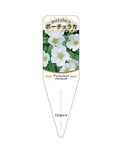 ポーチュラカ チュウリン 2 S 園芸用ラベル【115mm×34mm】100枚入