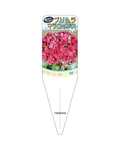 プリムラマラコイデス レッド 2S 園芸用ラベル【115mm×34mm】100枚入
