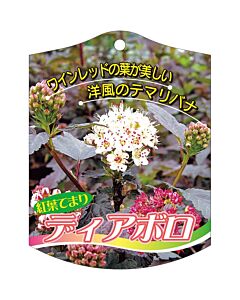 ディアボロ K 園芸用ラベル【105mm×80mm】100枚入