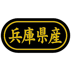 兵庫県産 金箔  BR【30mm×15mm】500枚入