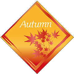 AUTUMNピック　RE【25mm×25mm】100枚入