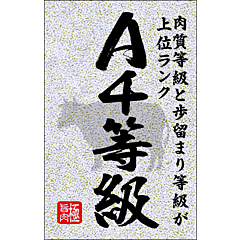 A4等級 銀ﾋﾟｶ BR【35mm×55mm】200枚入