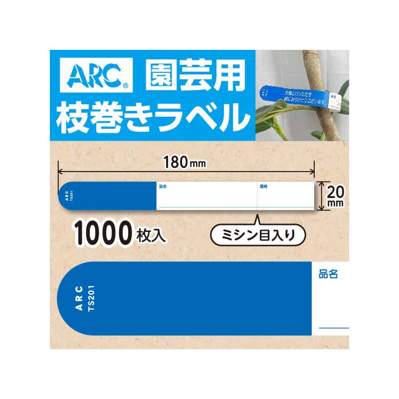 専用ページです Project: Kyosho Lazer ZX